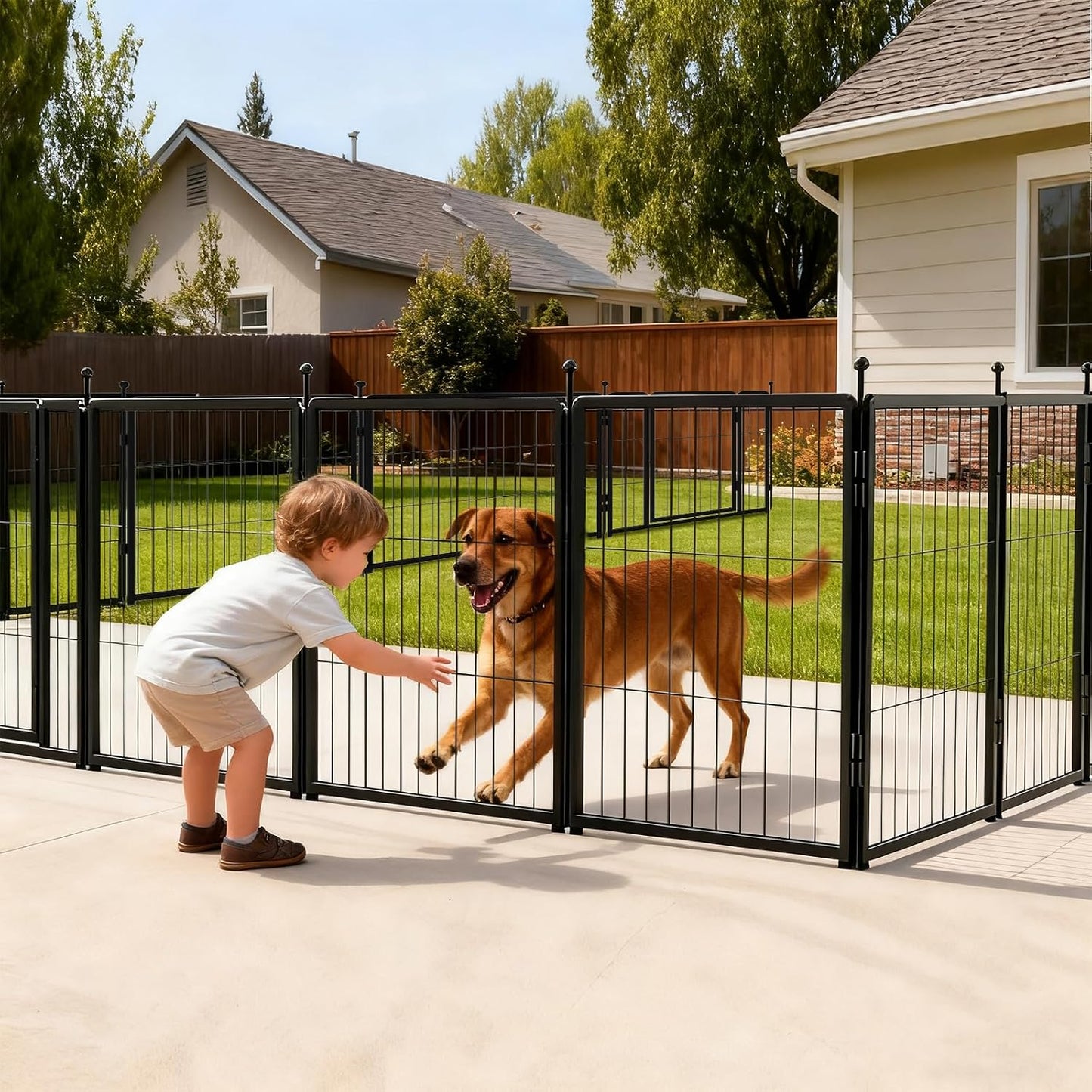 Dog Playpen Indoors/Outdoor, 24 Inch 12 Panels Dog Play Pen for Small Dogs, Rustproof Metal Pet Fence for RV Camping/Yard/Garden