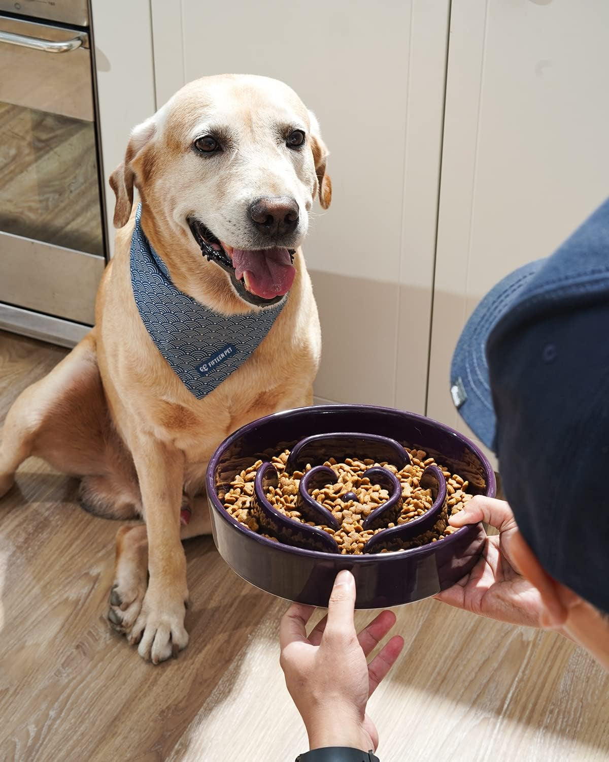 Slow Feeder Dog Bowls Ceramic, 3 Cups Slow Feeding Dog Bowl Medium Large Breed, Pet Bowl for Fast Eaters, Puzzle Pet Dishes, Maze Purple