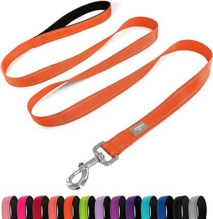 6 FT Basic Dog Leash for Medium Dogs,Orange
