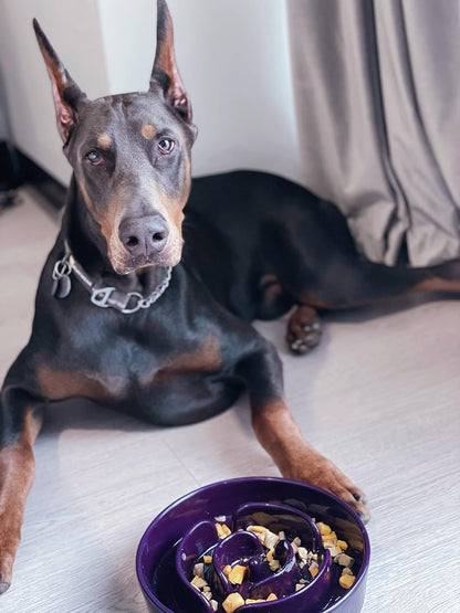 Slow Feeder Dog Bowls Ceramic, 3 Cups Slow Feeding Dog Bowl Medium Large Breed, Pet Bowl for Fast Eaters, Puzzle Pet Dishes, Maze Purple