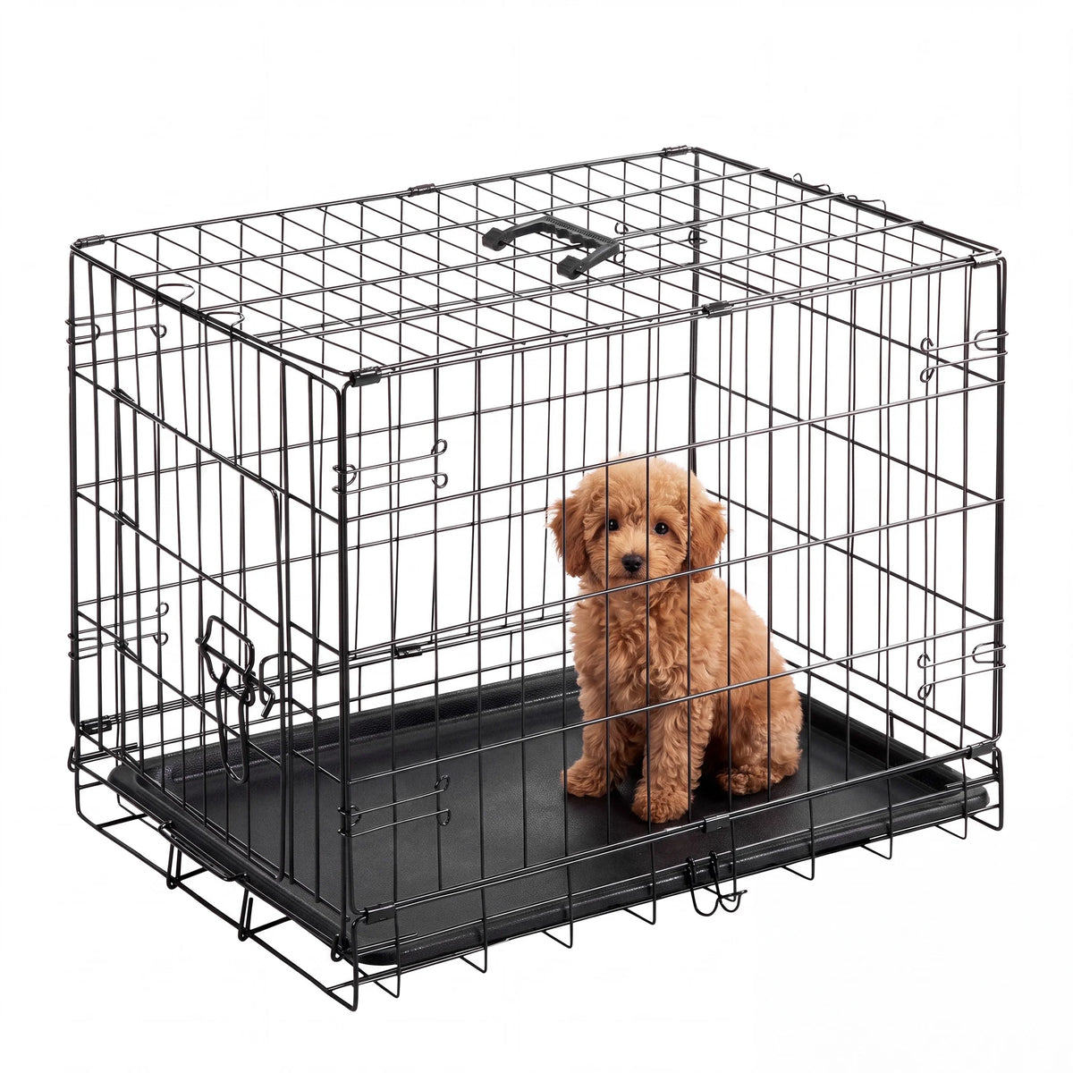 Small Dog Crate, 24" Single Door Folding Metal Wire Dog Cage with Plastic Leak-Proof Pan Tray
