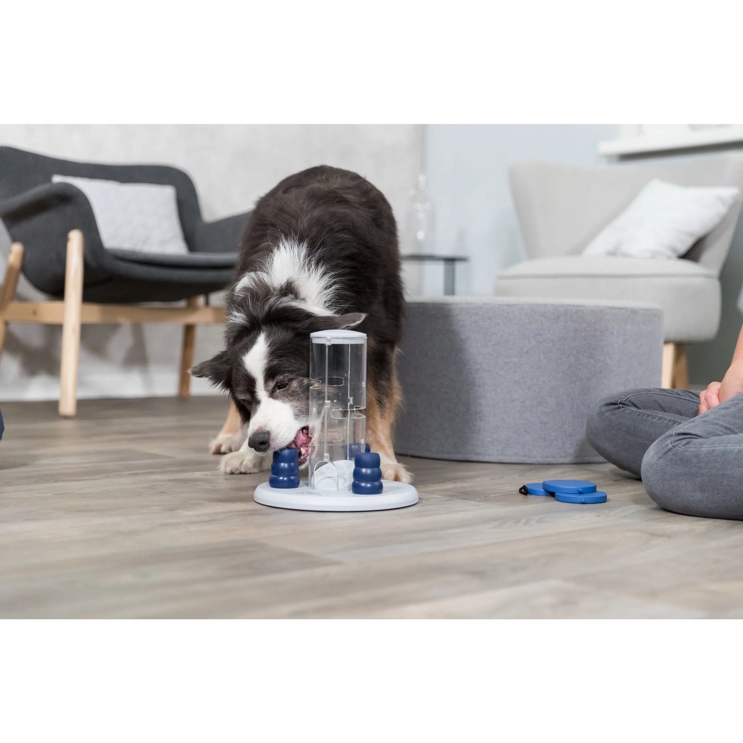 Dog Gambling Tower Strategy Game, Level 1, Beginner Dog Puzzle Toy, Treat Dispenser