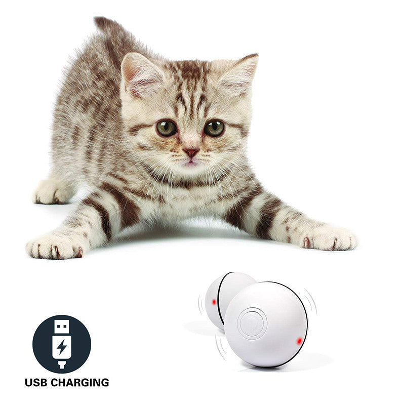 Interactive LED Laser Rolling Cat Toy Ball - Fun for Your Feline Friend!