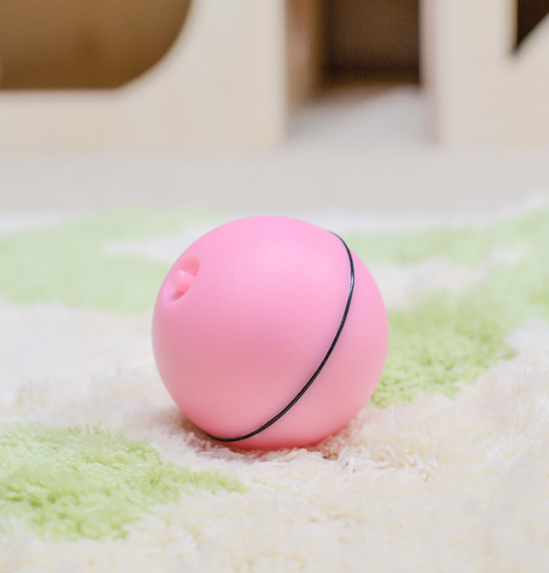 Interactive LED Laser Rolling Cat Toy Ball - Fun for Your Feline Friend!