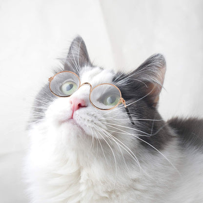 10 Pieces Cat Dog Sunglasses Funny Pet Glasses round Metal Small Classic Retro Sunglasses Pet Hippie Cute Dog Cat Cosplay Party Costume Photo Props Cosplay Glasses(Mixed Color)