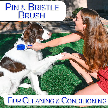 6 in 1 Premium Dog Brush Set - Dog Grooming Brushes - Ball Pin & Bristle Brush, Curved Blade Dematting Comb, Slicker Brush, Deshedding Edge Comb, Detangling Pet Comb