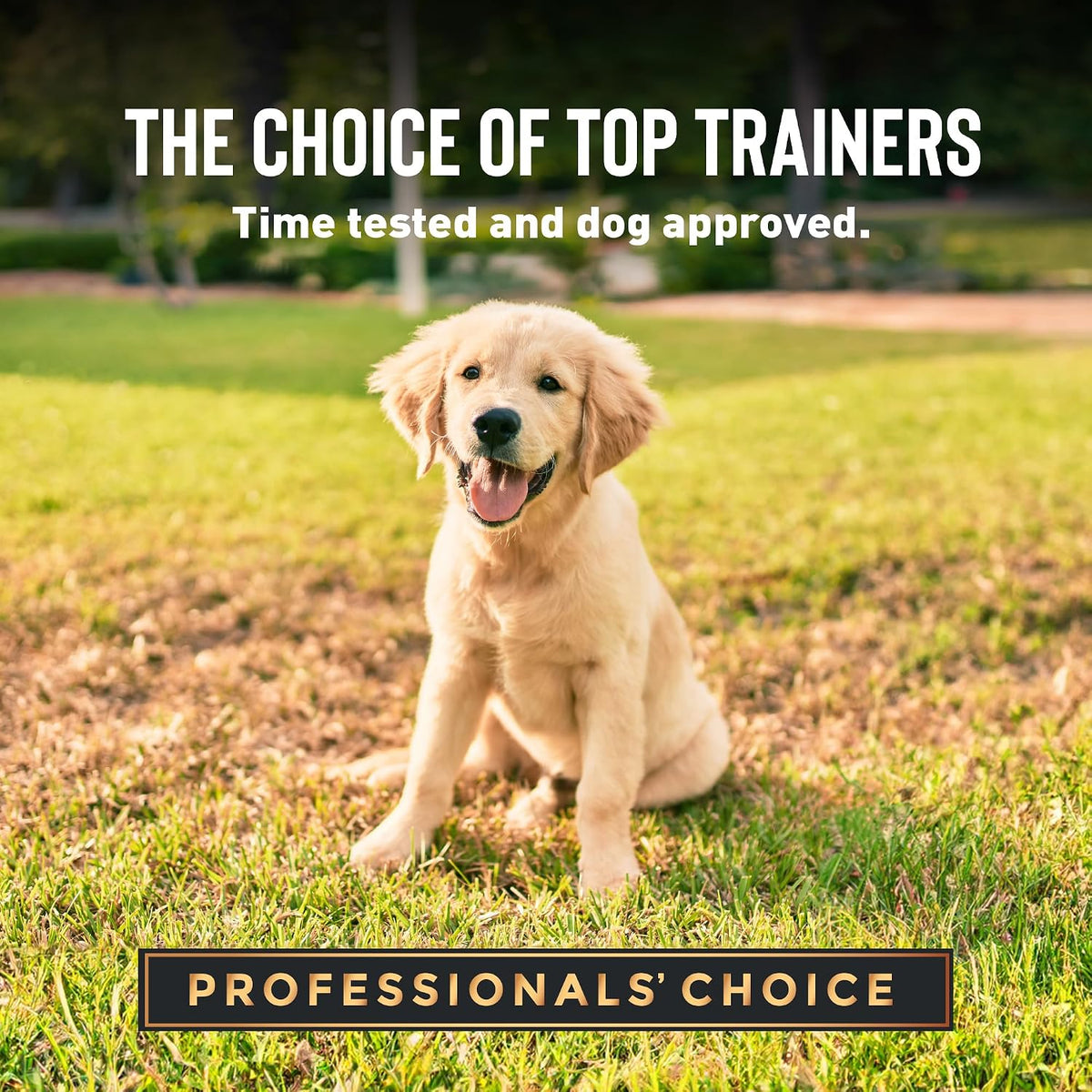 Tricky Trainers Puppy Mini Lamb 5 Oz.
