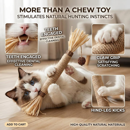 Ultimate 10-Pack Cat Toy Set: Natural Silvervine Chew Sticks & Catnip Mats for Dental Health & Interactive Fun