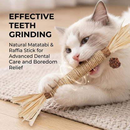 Ultimate 10-Pack Cat Toy Set: Natural Silvervine Chew Sticks & Catnip Mats for Dental Health & Interactive Fun
