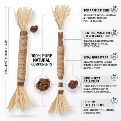Ultimate 10-Pack Cat Toy Set: Natural Silvervine Chew Sticks & Catnip Mats for Dental Health & Interactive Fun