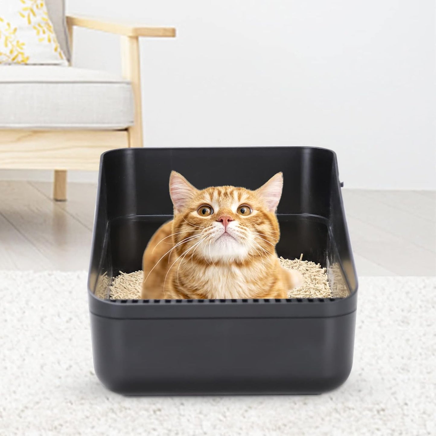 Premium Black Open-Top Cat Litter Box – High Sides, Sifting Design, Leak-Proof & Odor-Reducing, Easy-Clean Removable Liner for Cats up to 8 lbs