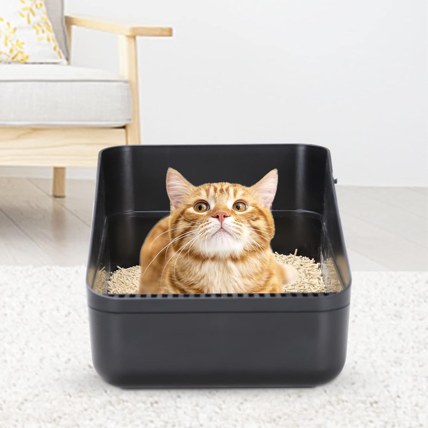 Premium Black Open-Top Cat Litter Box – High Sides, Sifting Design, Leak-Proof & Odor-Reducing, Easy-Clean Removable Liner for Cats up to 8 lbs
