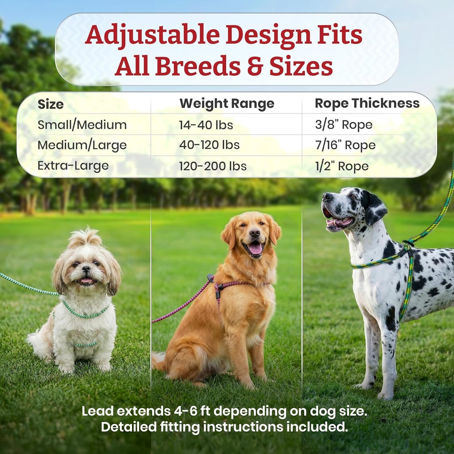 No Pull Dog Harness and Leash Set, anti Pull Dog Harness, One-Piece Cushioned Rope Safely Prevents Escaping and Pulling (Small/Medium, Red/Reflective)