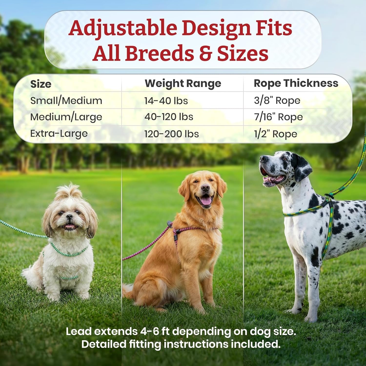 No Pull Dog Harness and Leash Set, anti Pull Dog Harness, One-Piece Cushioned Rope Safely Prevents Escaping and Pulling (Small/Medium, Red/Reflective)