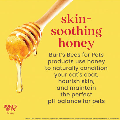 Hypoallergenic Cat Shampoo with Shea Butter and Honey, Gentle Formula for Indoor Cats with Dry or Sensitive Skin, Ph Balanced, Fragrance-Free, 10 Fl Oz - 2 Pack