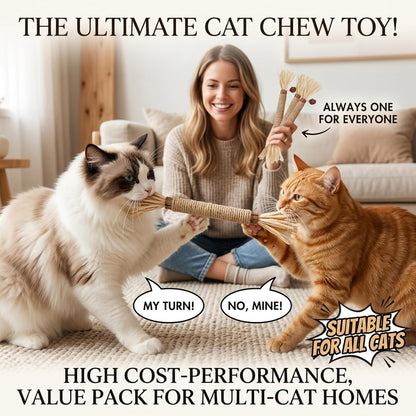 Ultimate 10-Pack Cat Toy Set: Natural Silvervine Chew Sticks & Catnip Mats for Dental Health & Interactive Fun