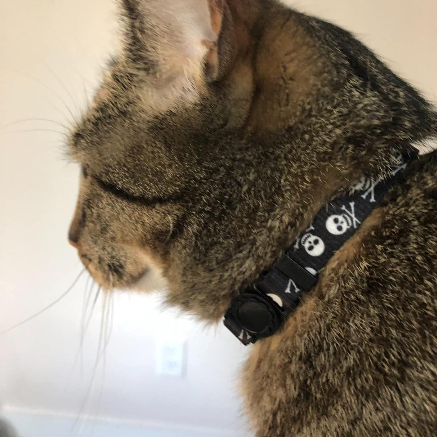 Cat Collar Breakaway with Bells, Kitten Collar Outfit Adjustable for Girl Boy Small Pet Puppy Bunny, Cute Costume Accessory with Safety Release Buckle (Skull)
